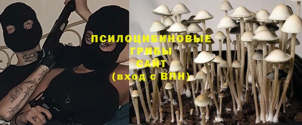 прущие крисы Ахтубинск